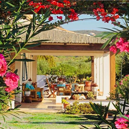 קרלופורטה Alba B&B מראה חיצוני תמונה