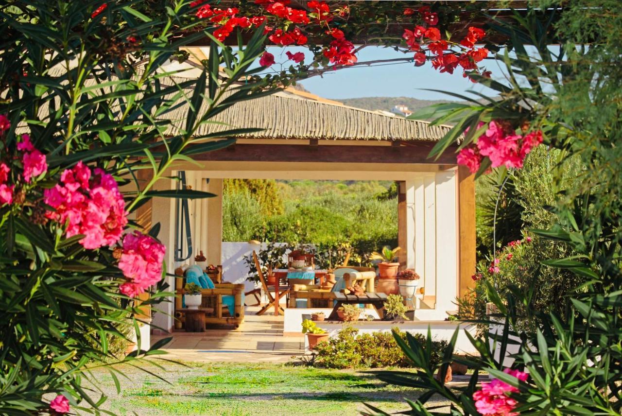 קרלופורטה Alba B&B מראה חיצוני תמונה